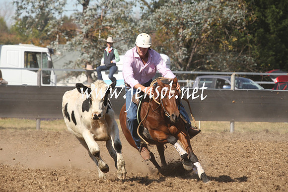 MossValeCampdraft2013_0692