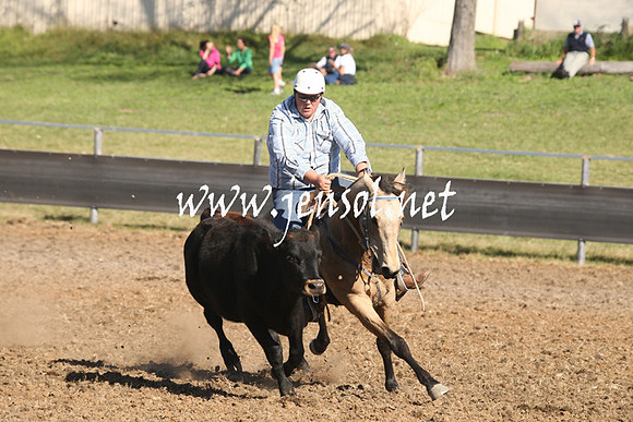 MossValeCampdraft2013_0893