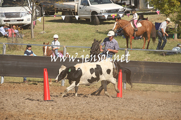 MossValeCampdraft2013_0861