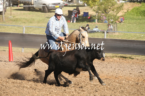 MossValeCampdraft2013_0889