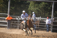MossValeCampdraft2013_0518