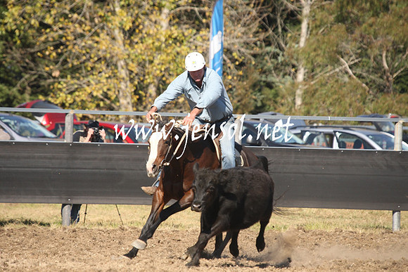 MossValeCampdraft2013_0826