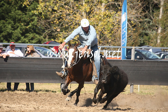 MossValeCampdraft2013_0828