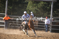 MossValeCampdraft2013_0519