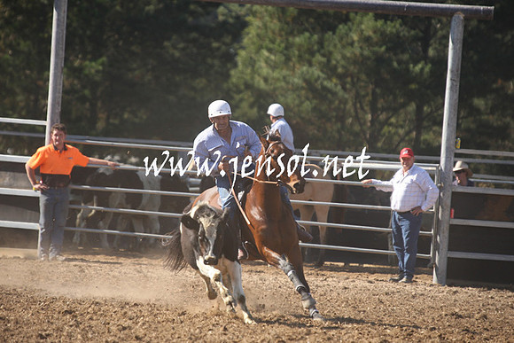 MossValeCampdraft2013_0519