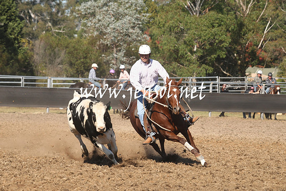 MossValeCampdraft2013_0791