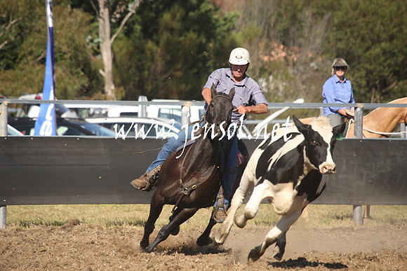 MossValeCampdraft2013_0849