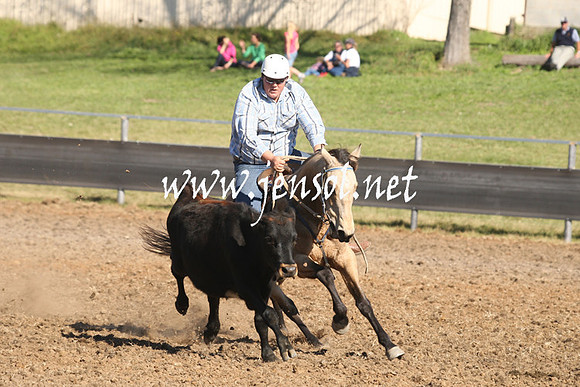 MossValeCampdraft2013_0892