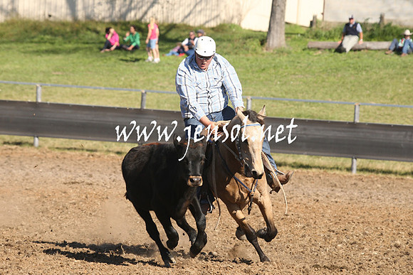 MossValeCampdraft2013_0894