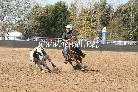 MossValeCampdraft2013_0609
