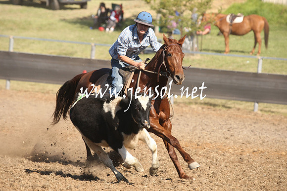 MossValeCampdraft2013_0820