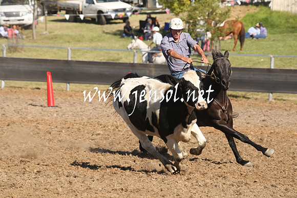 MossValeCampdraft2013_0854