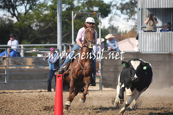 MossValeCampdraft2013_0682