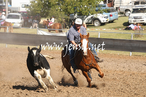 MossValeCampdraft2013_0873