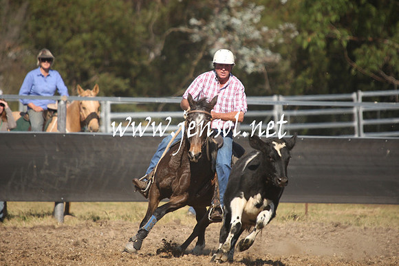 MossValeCampdraft2013_0940