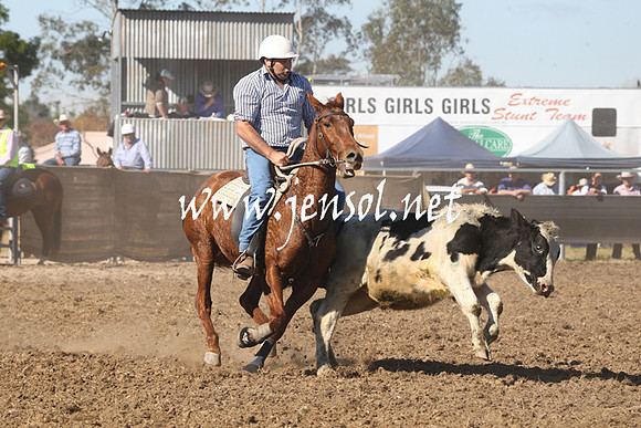MossValeCampdraft2013_0600
