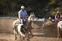 MossValeCampdraft2013_0526