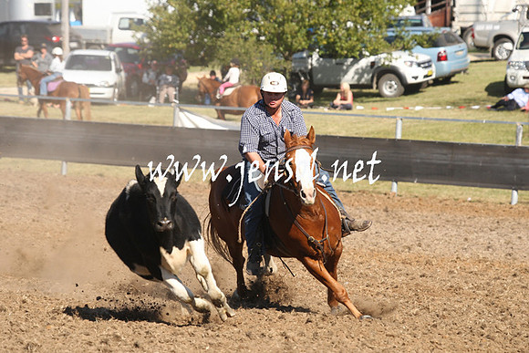 MossValeCampdraft2013_0872