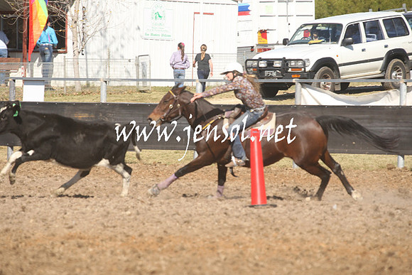 MossValeCampdraft2013_0760