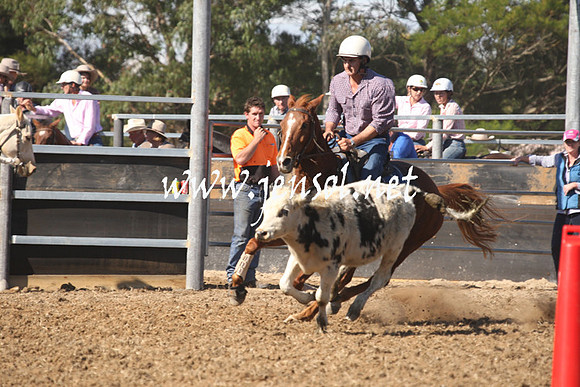 MossValeCampdraft2013_0669