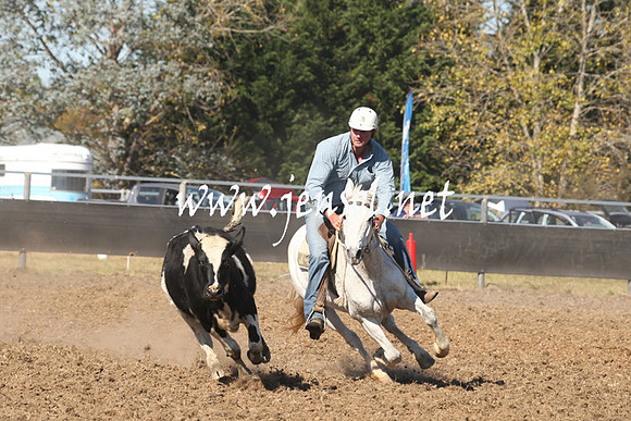 MossValeCampdraft2013_0772