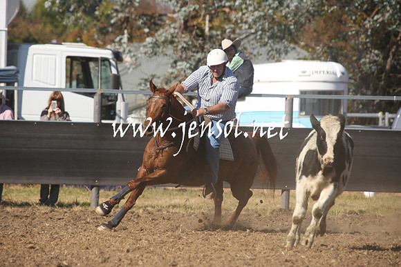 MossValeCampdraft2013_0585