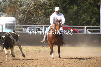 MossValeCampdraft2013_0538