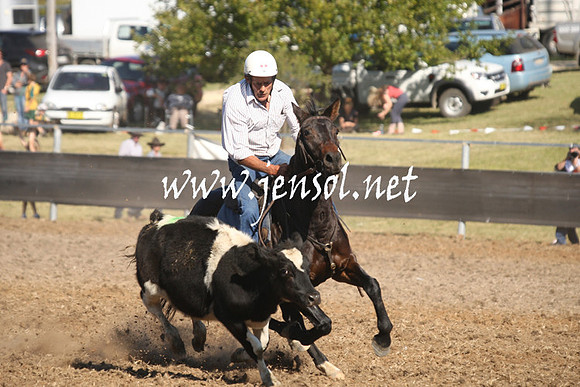 MossValeCampdraft2013_0908