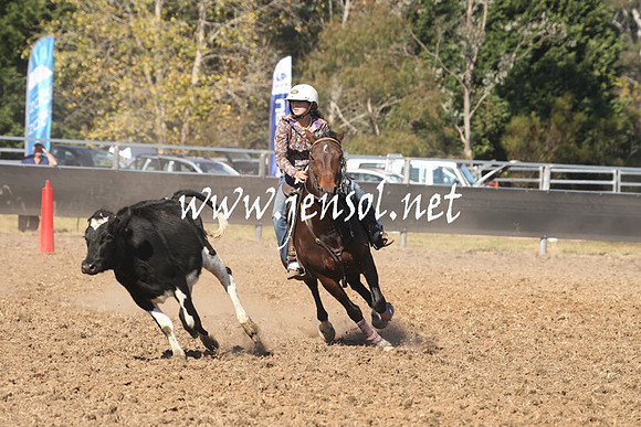 MossValeCampdraft2013_0755