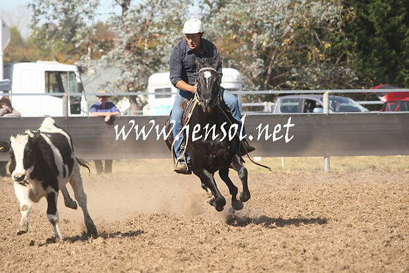MossValeCampdraft2013_0718