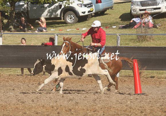 MossValeCampdraft2013_0936