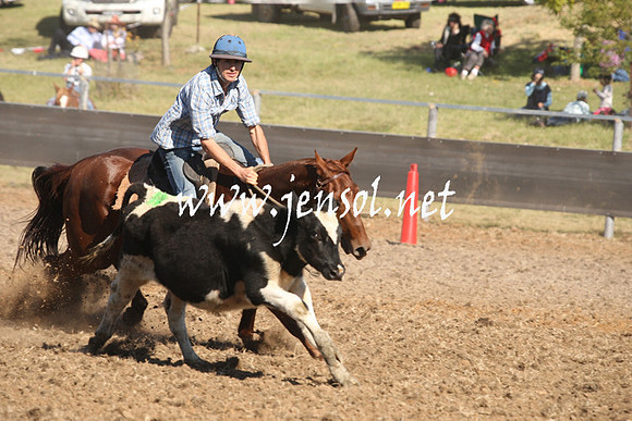 MossValeCampdraft2013_0817