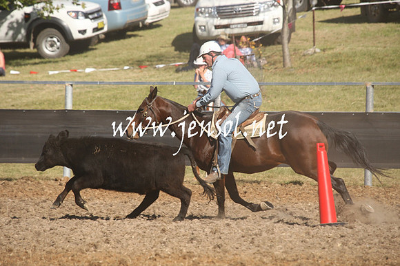 MossValeCampdraft2013_0835