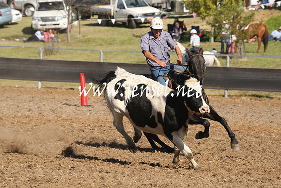 MossValeCampdraft2013_0853