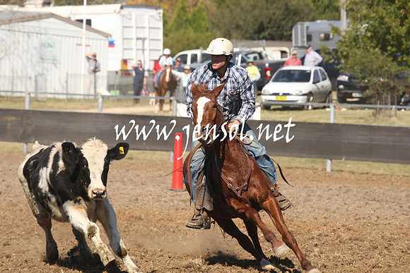 MossValeCampdraft2013_0568