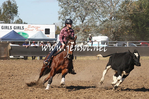 MossValeCampdraft2013_0676