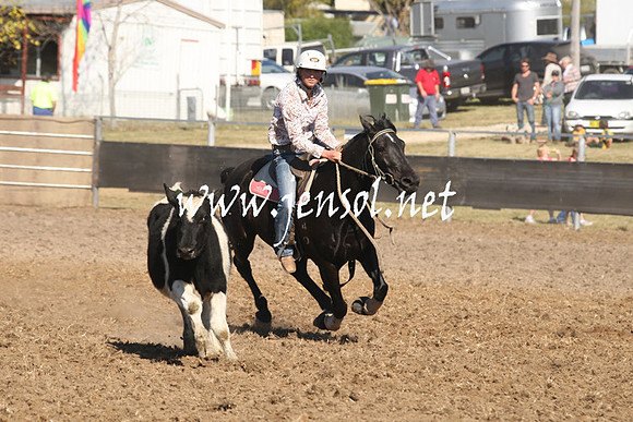 MossValeCampdraft2013_0843
