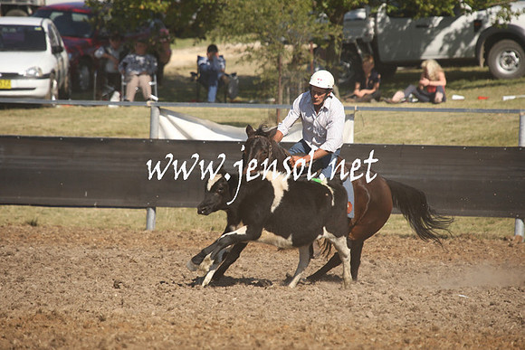 MossValeCampdraft2013_0917