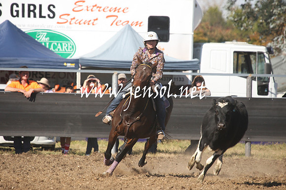 MossValeCampdraft2013_0748