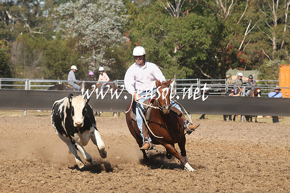MossValeCampdraft2013_0792