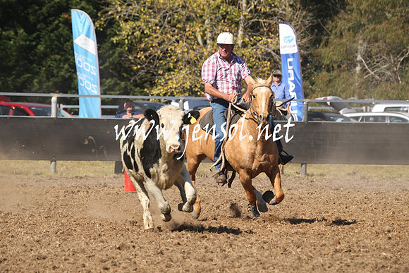 MossValeCampdraft2013_0651