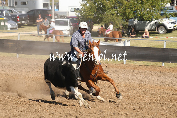 MossValeCampdraft2013_0870