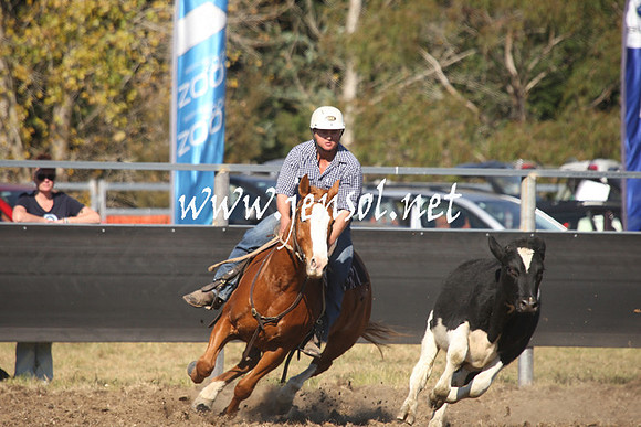 MossValeCampdraft2013_0864