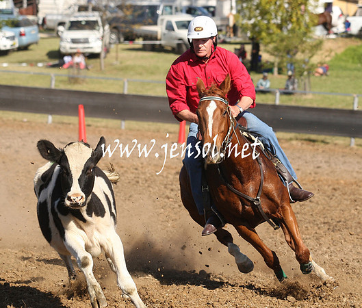 MossValeCampdraft2013_0933