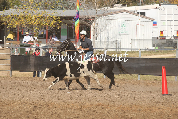 MossValeCampdraft2013_0720