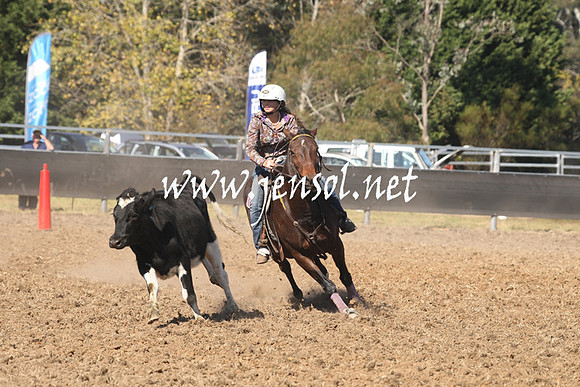 MossValeCampdraft2013_0754