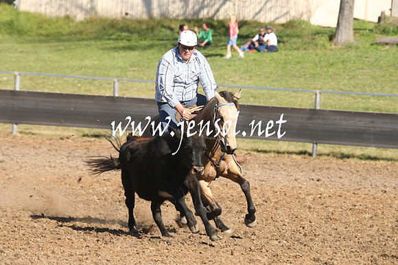 MossValeCampdraft2013_0891