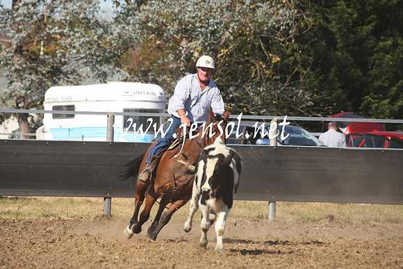 MossValeCampdraft2013_0735