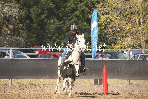 MossValeCampdraft2013_0697