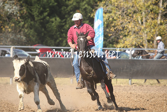 MossValeCampdraft2013_0632
